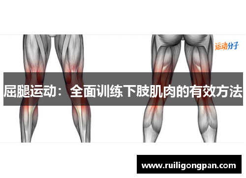 屈腿运动:全面训练下肢肌肉的有效方法