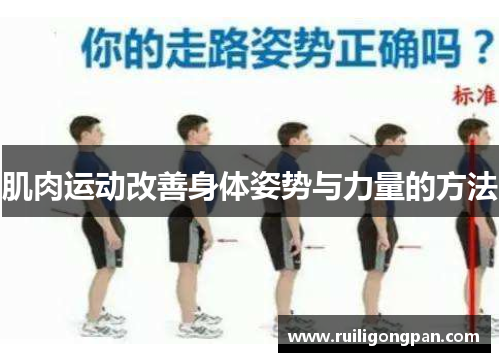 肌肉运动改善身体姿势与力量的方法 肌肉运动改善身体姿势与力量的方法