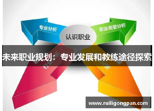 未来职业规划:专业发展和教练途径探索